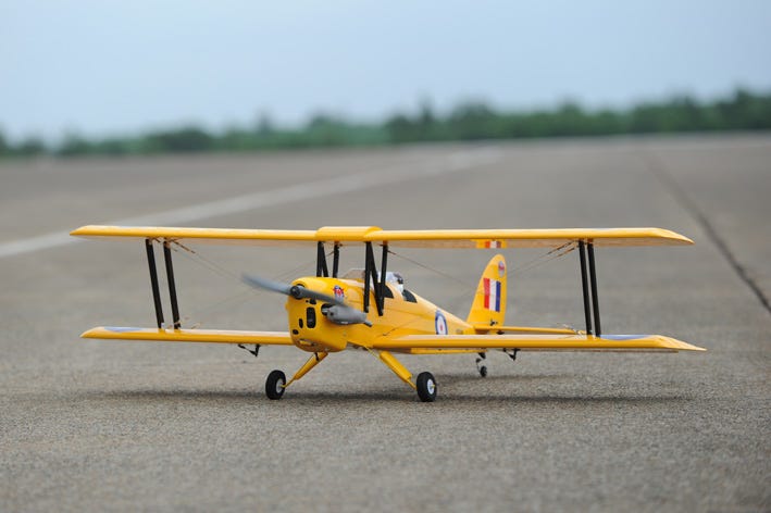 phoenix tiger moth