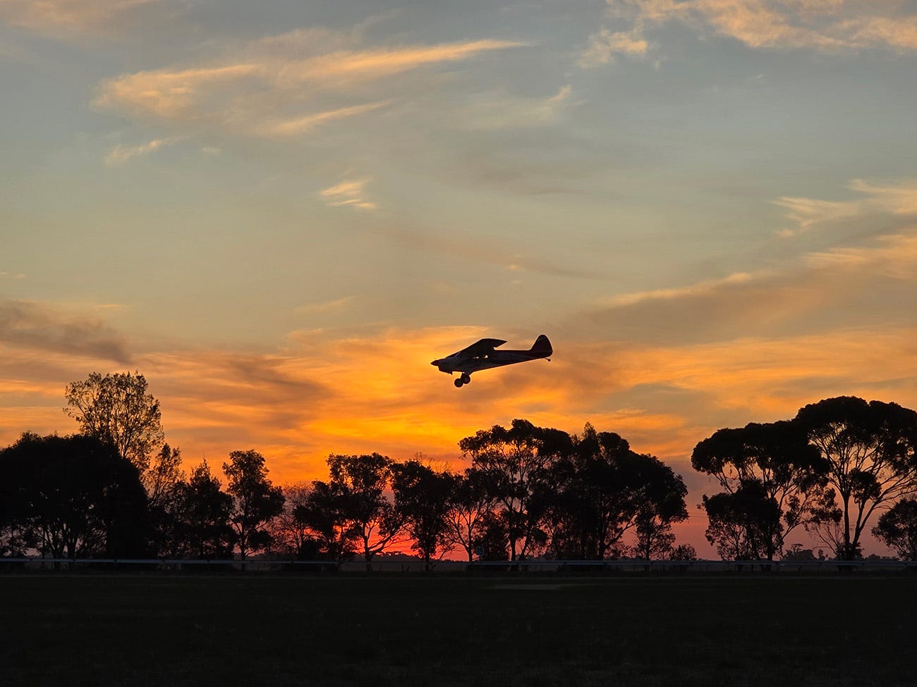 Hangar 9 FX-3 Carbon Cub